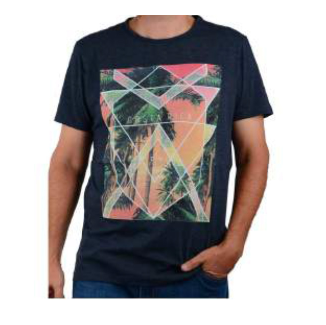 Men graphic shortsleeve t-shirt (100% cotton)